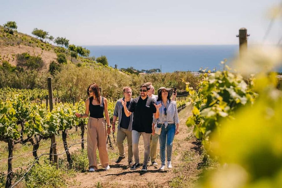 Barcelona: Sailing Cruise & Vineyard Tour with Wine Tasting - Is $159 good value for Barcelona sailing plus Alella wine?