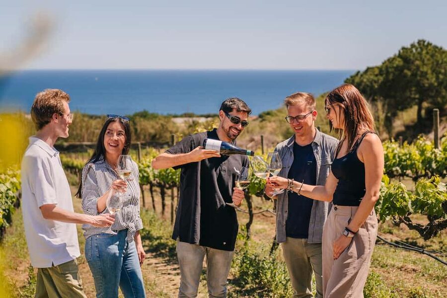 Barcelona: Sailing Cruise & Vineyard Tour with Wine Tasting - Sailing to Alella, without the long day tour feeling