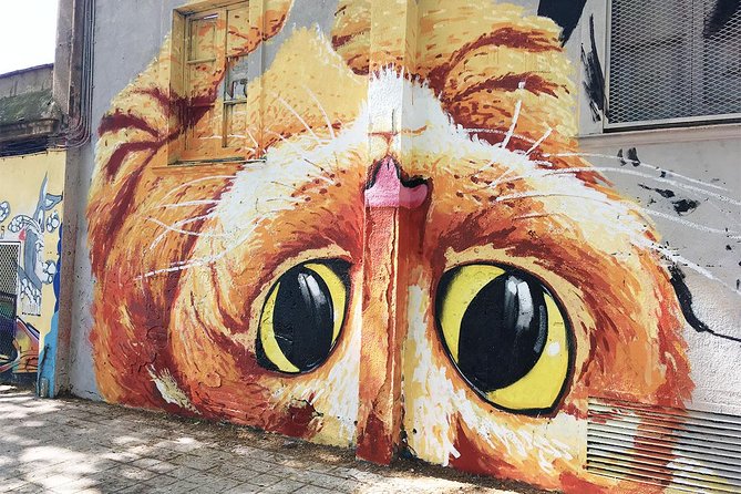 Barcelona Street Art and Graffitti Bicycle Tour - What’s Included, What’s Not, and How to Plan Your Day