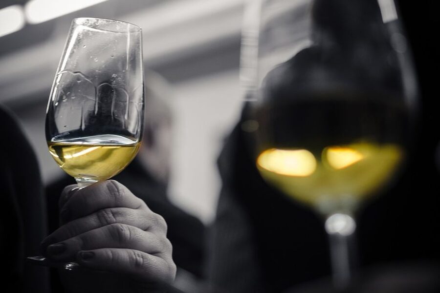 Barcelona Wine Tasting: Catalan and Spanish Wines - Key highlights you will remember