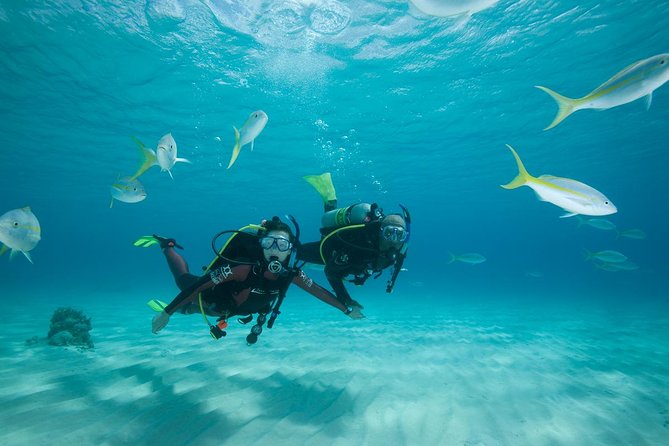 Beginners Scuba Diving Experience in Gran Canaria - Meeting at Blue Water: what the start feels like