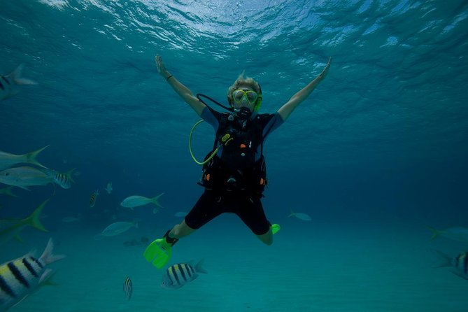 Beginners Scuba Diving Experience in Gran Canaria - The reef swim: where you stop thinking and start looking