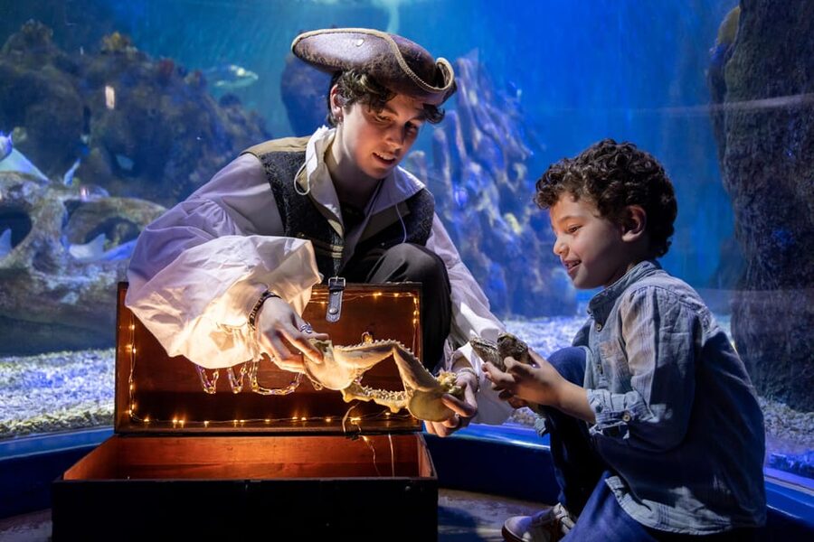 Benalmadena Aquarium Visit - What you get at SEA LIFE Benalmádena, and why the route feels like a tour