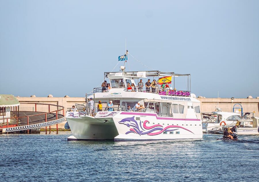Benalmadena: Dolphin Watching Boat Tour - Key things to know before you go