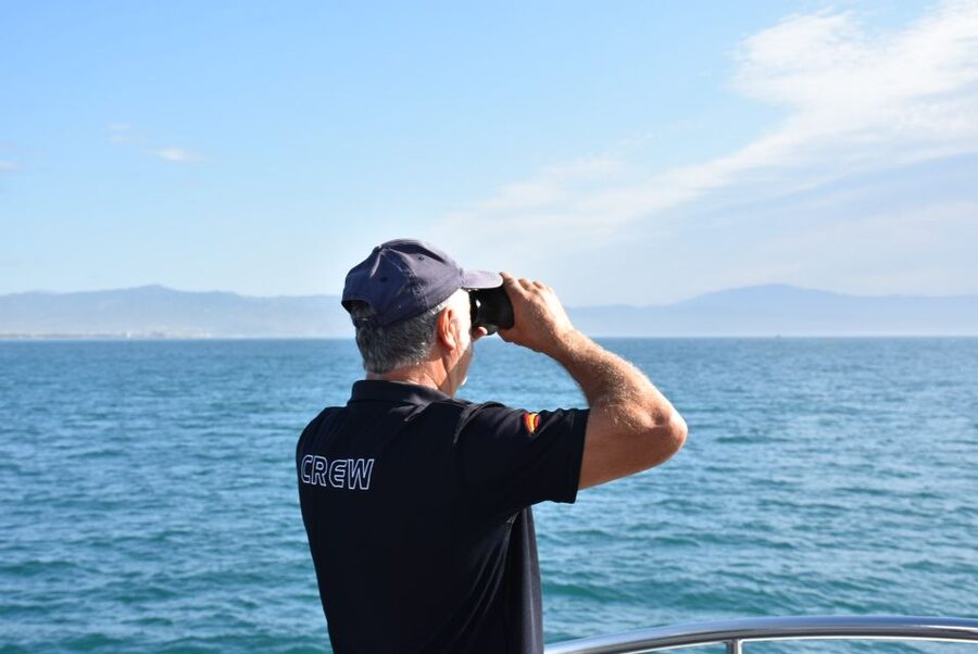 Benalmadena: Dolphin Watching Boat Tour - Price and value: why this one often wins at $22