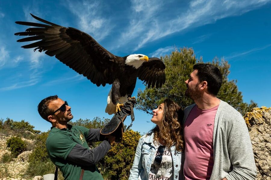 Benalmádena: Mount Calamorro Cable Car Ticket - Nature spotting: flora and fauna in a mountain setting
