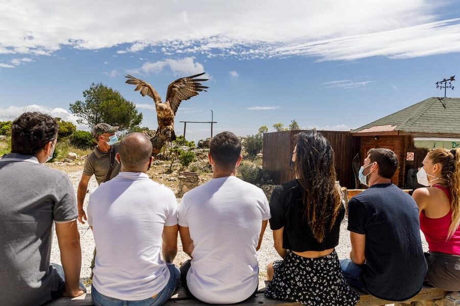 Benalmádena: Mount Calamorro Cable Car Ticket - Café stops and photography tips that actually help