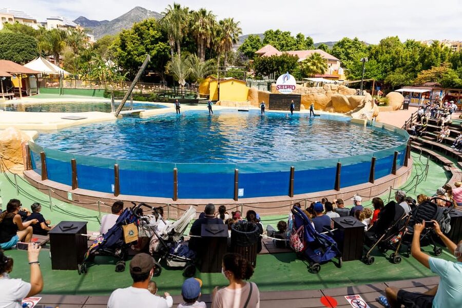 Benalmadena: Selwo Marina Admission Ticket - Getting up close without losing your sanity
