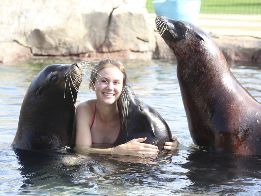 Benidorm: Aqua Natura Amusement Park 1-Day Entry Ticket - Laid-back pools and the spa area when you need to reset