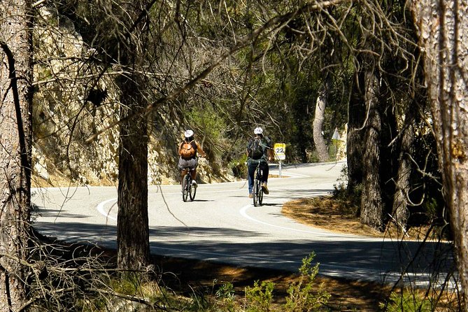 Benidorm Bike Tour with Hotel Pick up - Alcoleja Downhill Glide: Where the Road Feels Like a Scenic Roller Coaster