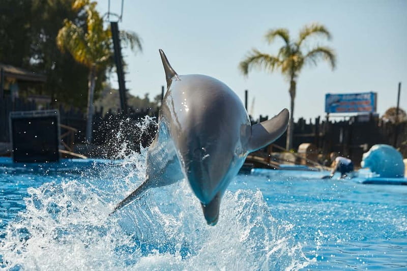 Benidorm: Mundomar Animal Park Entrance Ticket - Key highlights to notice before you go