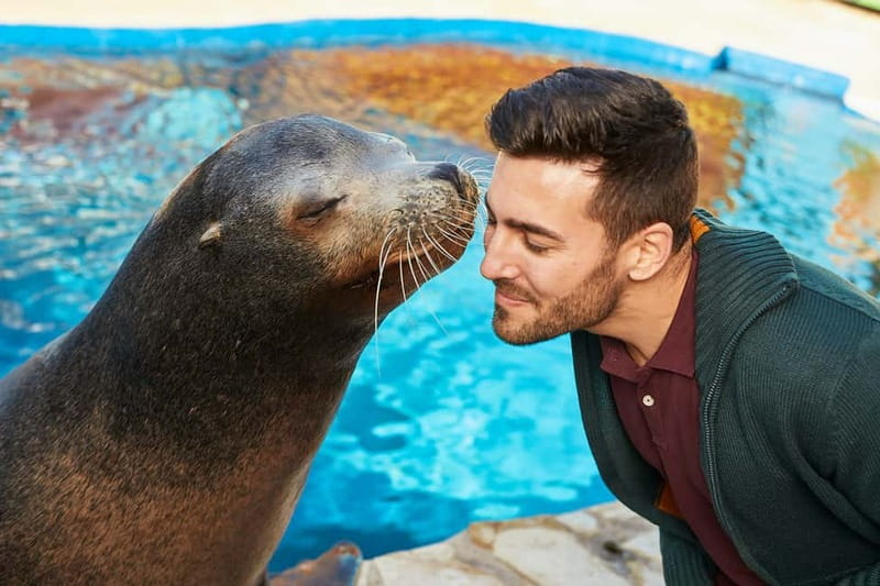 Benidorm: Mundomar Animal Park Entrance Ticket - Parking, snacks, and photos, how to budget without surprises