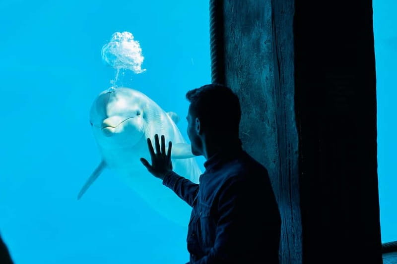 Benidorm: Mundomar Animal Park Entrance Ticket - Who should book Mundomar, and who might not