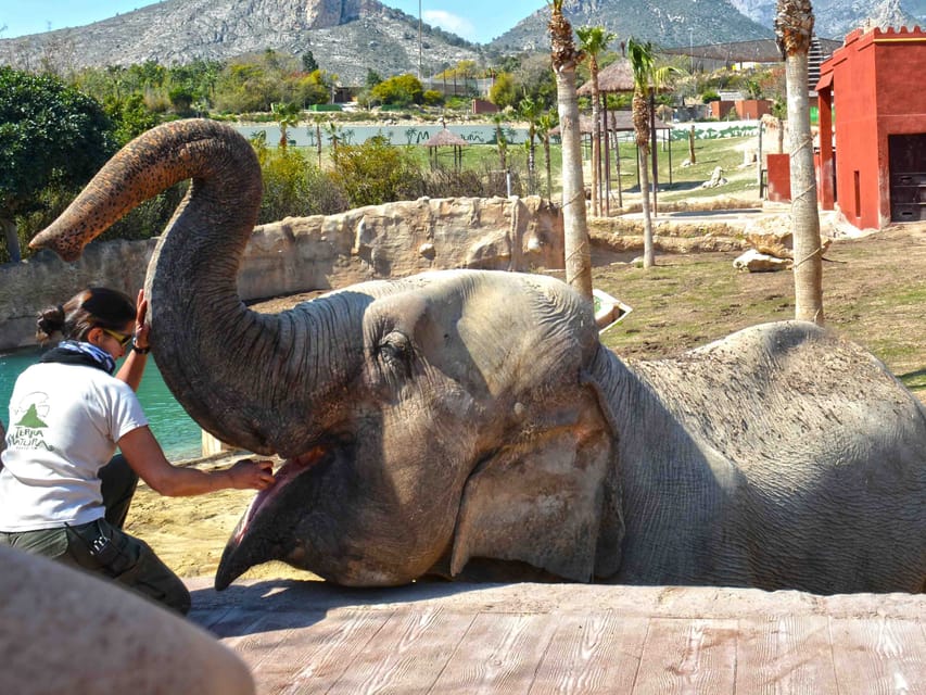 Benidorm: Terra Natura and Aqua Natura Combo Day Ticket - Timing by season: opening hours can shift a lot