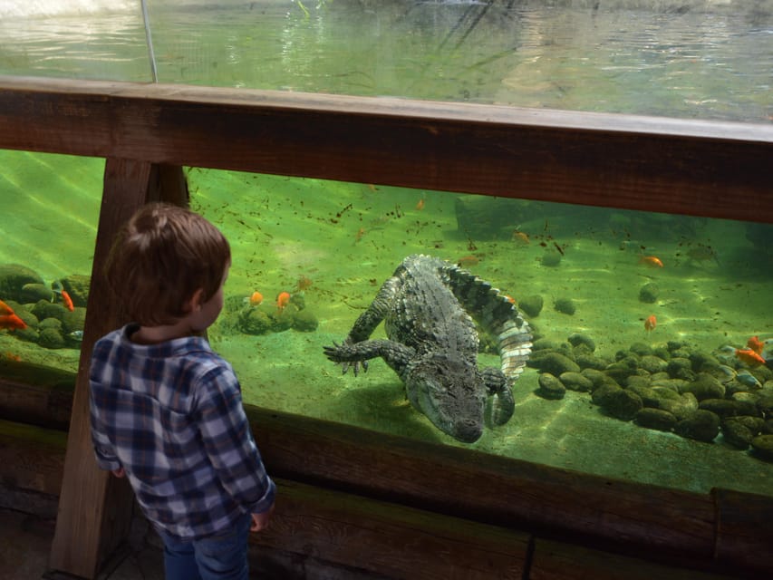 Benidorm: Terra Natura and Aqua Natura Combo Day Ticket - Who this combo ticket is best for