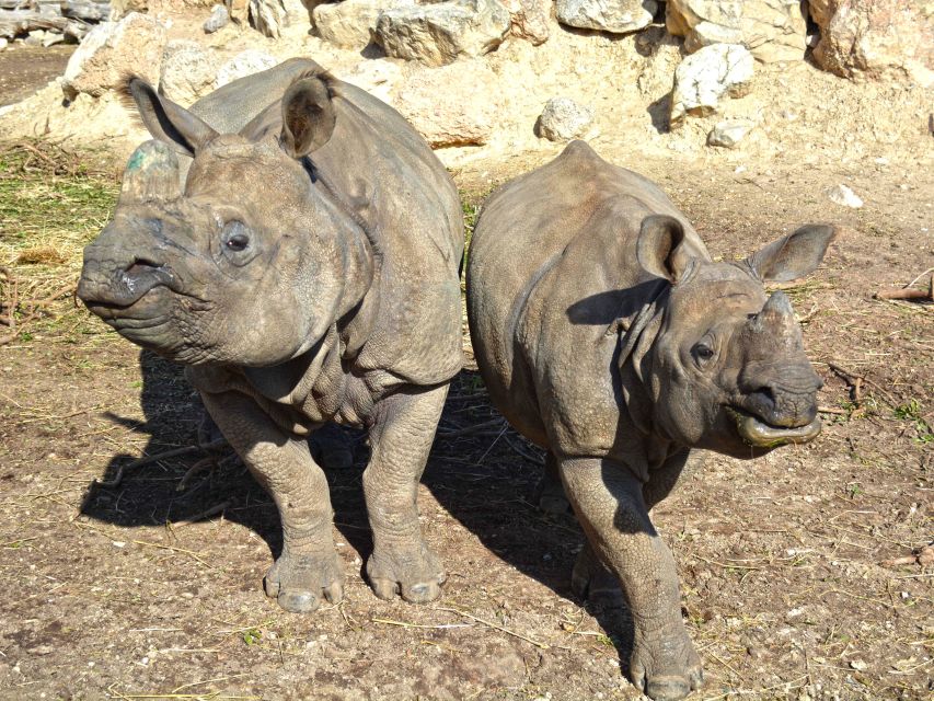 Benidorm: Terra Natura Theme Park 1-Day Tickets - Elephants and Strength, With a Show Format