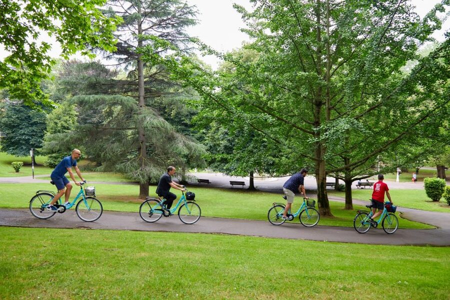 Bilbao: Guided Highlights Small Group or Private E-Bike Tour - Languages, group options, and what you’ll get in 3 hours