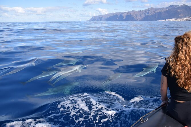 Bonadea II Ecological Whale Watching, 2 hours - Ecological watching that is more than a slogan