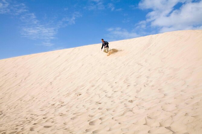 Buggy Fuerteventura Off-Road Excursions - Quick take before you book