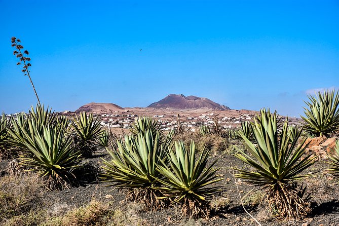 Buggy Fuerteventura Off-Road Excursions - Happy Break and Dust-Off Stops: The Built-In Sanity Checks
