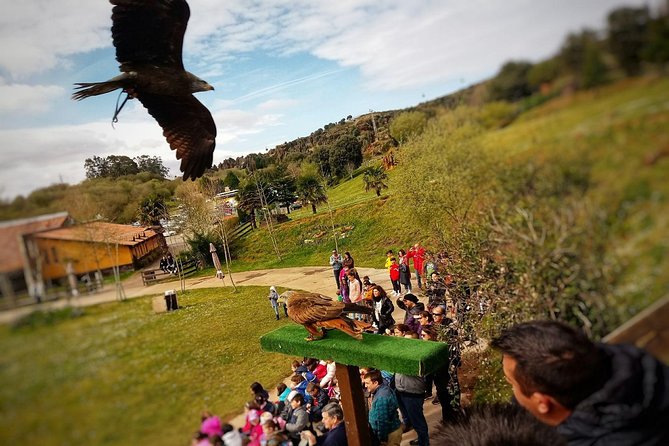 Cabarceno Natural Park Guided Visit from Santander - Cable car time at Cabarceno: how to think about it