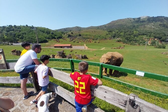 Cabarceno Natural Park Guided Visit from Santander - What the tour includes, and the one thing to plan for