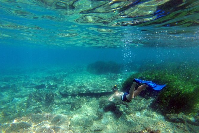 Cabo de Gata Active. Guided kayak and snorkel route through coves of the Natural Park - Getting there from Almería: plan for the real-world commute