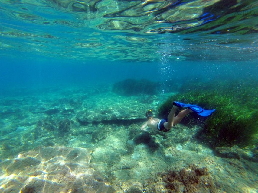 Cabo de Gata: Natural Park Kayaking and Snorkel Excursion - Paddling coaching and safety: short lesson, real sea skills