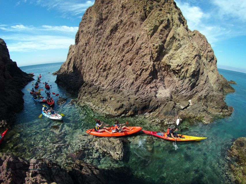 Cabo de Gata: Natural Park Kayaking and Snorkel Excursion - The wildlife and geology part you will actually understand