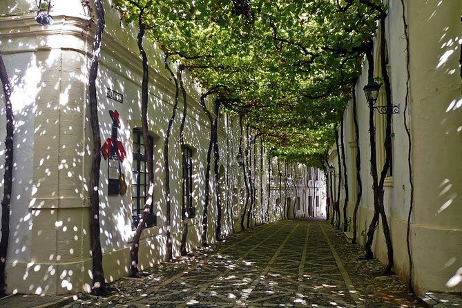 Cadiz and Jerez Day Trip from Seville - Cádiz in a few hours: El Pópulo lanes and cathedral-area viewpoints