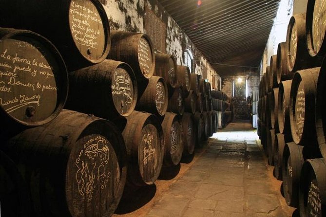 Cadiz and Jerez Day Trip from Seville - Food, drink, and what to pack for a long day