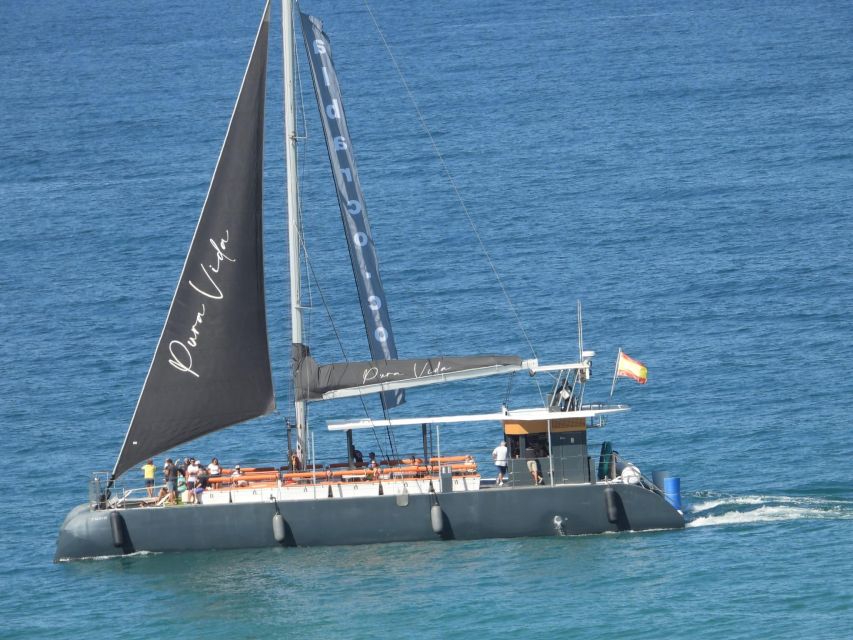 Cádiz: Bay of Cádiz Catamaran Tour with Host - Constitution Bridge, the 1812 symbol you’ll actually spot every time