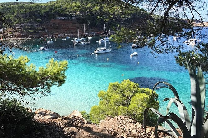 Cala Salada and Unspoiled North Beach Tour. Snorkelling and Aquarium - Leaving San Antonio Harbor, then heading up the coast