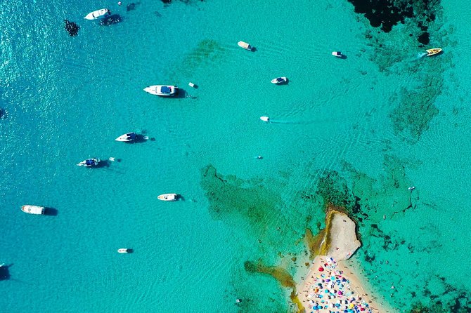 Cala Salada and Unspoiled North Beach Tour. Snorkelling and Aquarium - Playa Cala Salada: 3 hours at the north coast star