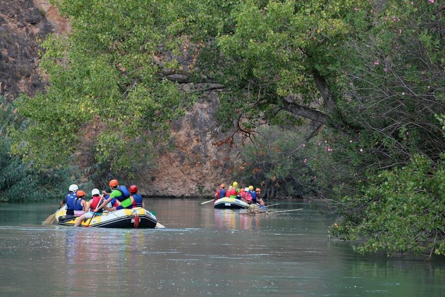 Calasparra: Almadenes Canyon Rafting with Caves and Rock Art - Segura River rafting: calm riding, swim moments, and canyon wildlife