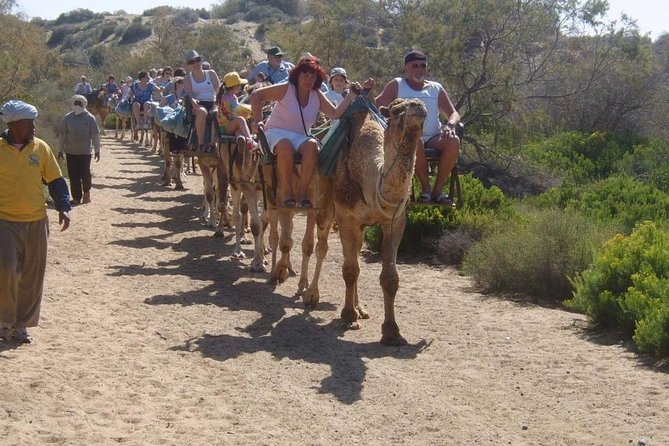 Camel Riding in Maspalomas Dunes - Reserva Natural Especial de Las Dunas de Maspalomas, What You See and Sense