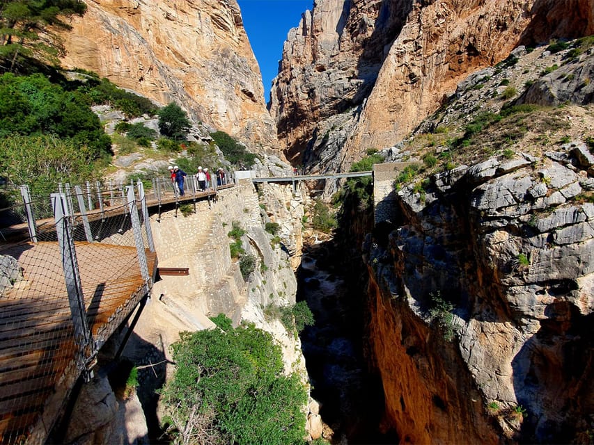 Caminito del Rey: Tour with Official Guide and Drink - Wildlife and Flora: Small Breaks With Real Explanations