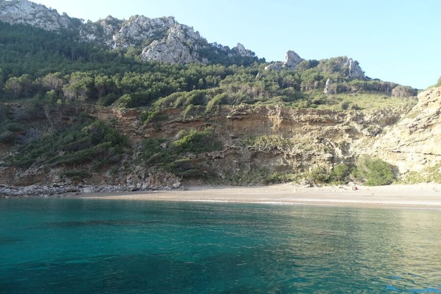 Can Picafort: Dolphin Watching Boat Tour, Swimming stop - Onboard comfort and who this trip fits best