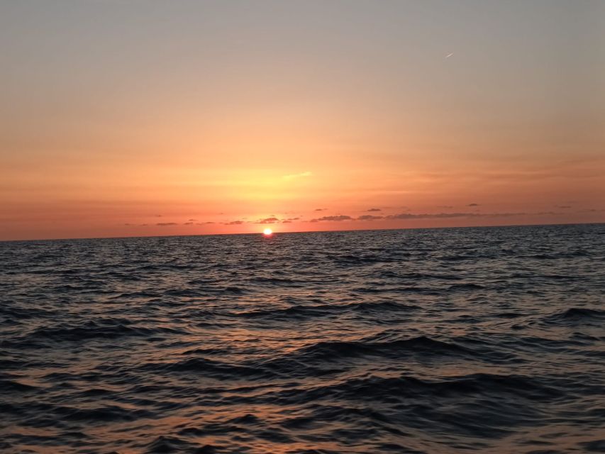 Can Picafort: Dolphin Watching Boat Tour, Swimming stop - What to bring, what to avoid, and the small details that matter