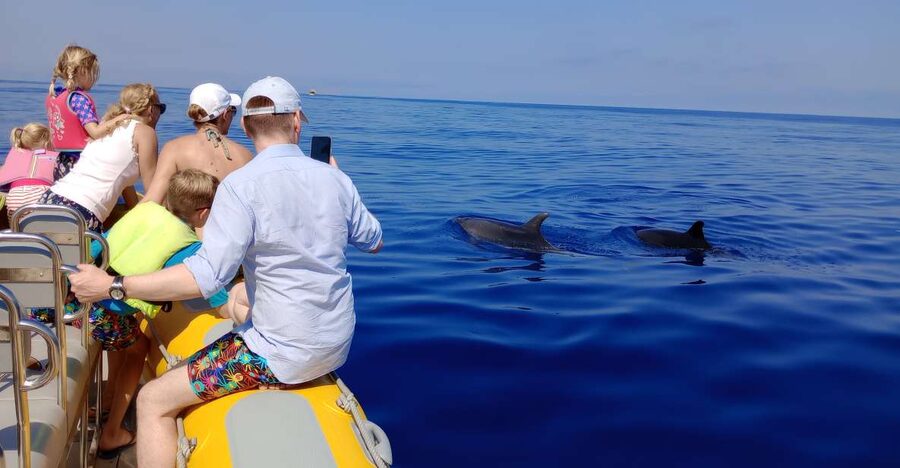 Can Picafort: Dolphin Watching Boat Tour, Swimming stop - How the dolphin watching works once you are out at sea