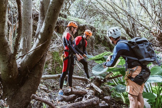 Canyoning with Waterfalls in the Rainforest - Small Groups ツ - Gear and Safety: What You Wear and What You Can Expect