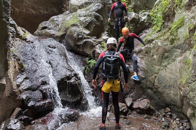Canyoning with Waterfalls in the Rainforest - Small Groups ツ - The 4 to 5 Hours On Route: Walk, Slides, Climbs, Abseil