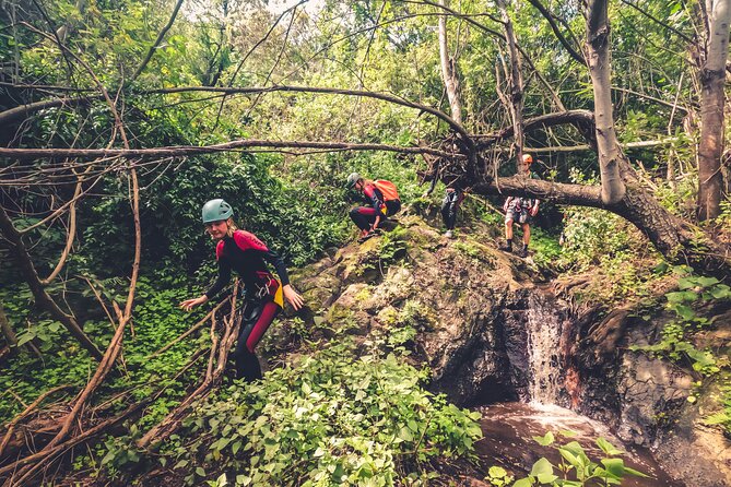 Canyoning with Waterfalls in the Rainforest - Small Groups ツ - Weather, Rain, and Why This Tour Still Makes Sense