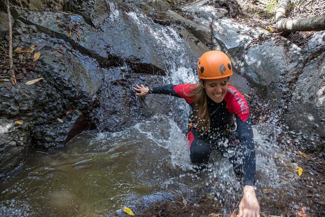 Canyoning with Waterfalls in the Rainforest - Small Groups ツ - What It Costs, and Whether It’s Good Value