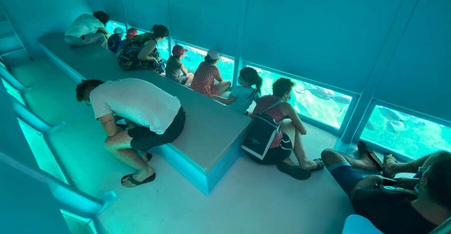 Cap Norfeu: Costa Brava Catamaran Trip with Underwater Views - Costa Brava From the Water, Not Just Postcard Stops