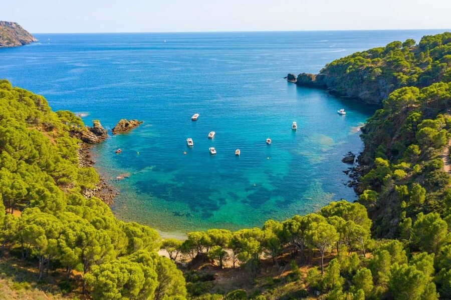 Cap Norfeu: Costa Brava Catamaran Trip with Underwater Views - Roses Coast Cues to Cap Norfeu: What You See From the Catamaran