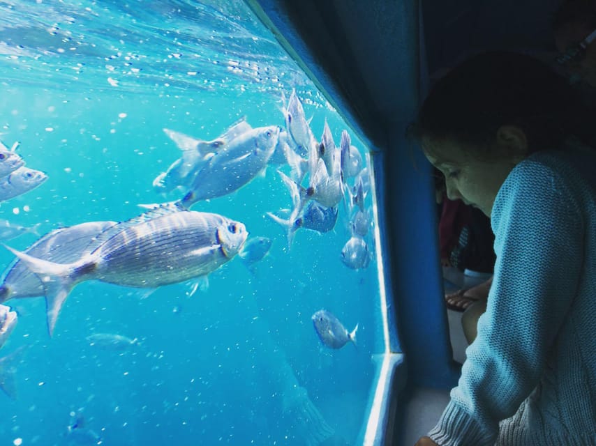 Cap Norfeu: Costa Brava Catamaran Trip with Underwater Views - Price and Value for a 2 to 2.5 Hour Sea Experience