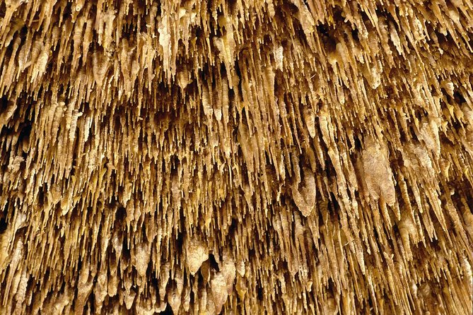 Caves of Drach Half-Day Tour with Boat Trip and Music Concert - Should you book this Caves of Drach half-day tour?