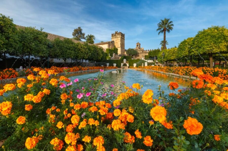 Cordoba: Alcazar of Christian Monarchs 1–Hour Guided Tour - Pace and timing: what to expect in real life