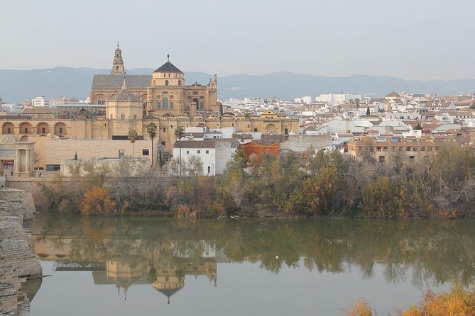 Cordoba & Carmona with Mezquita, Synagoge & Patios from Seville - La Judería and the Córdoba Synagogue: Mudejar Details and Key Names
